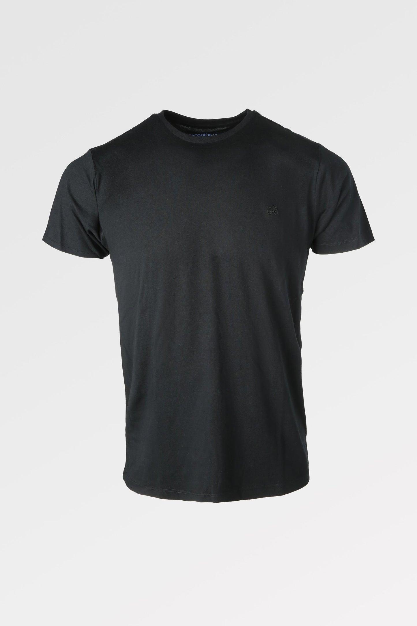 Básicos Essenciais t-shirt masculina